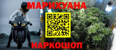 гашик Гудермес