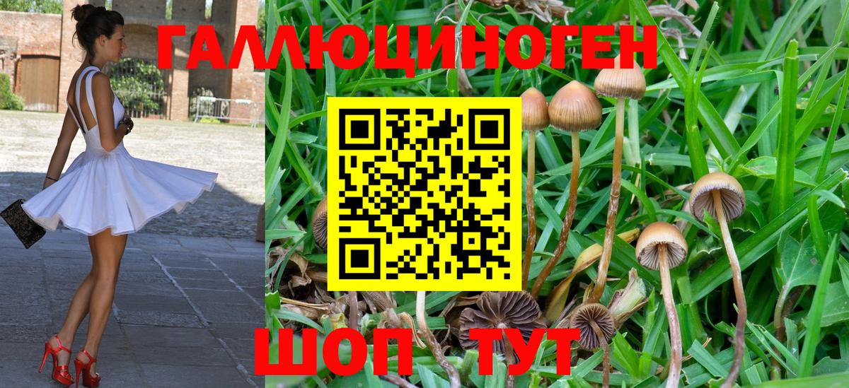 Мегион  Псилоцибиновые грибы Psilocybe  Вход с VPN 