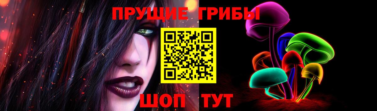 Галлюциногенные грибы Psilocybine cubensis Мегион